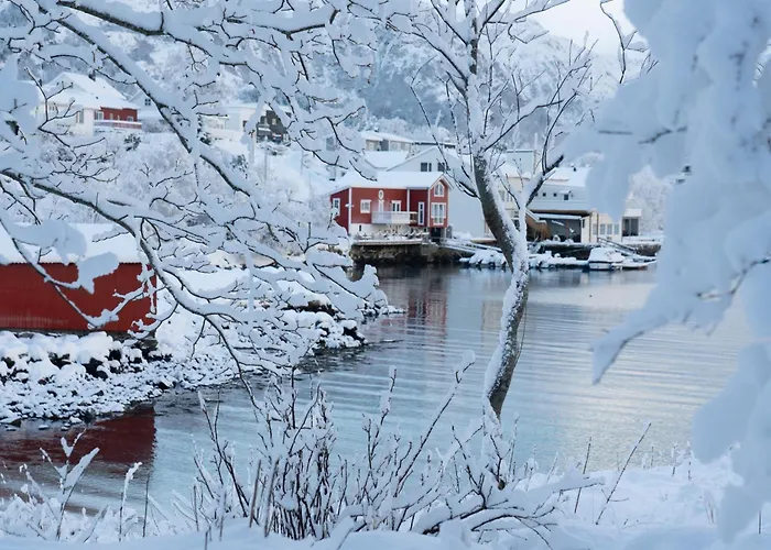 Eget Hus I Sjokanten Ved Fjorden Feriehus